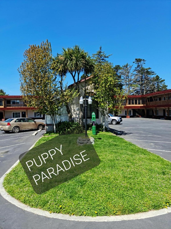 North Coast Inn image 6